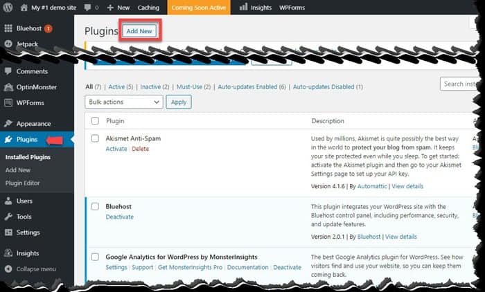 WordPress Plugins