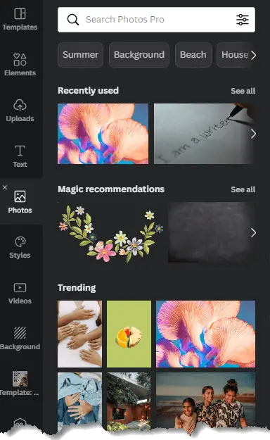 Canva Photo and Search