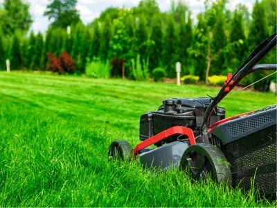 lawn blog niche