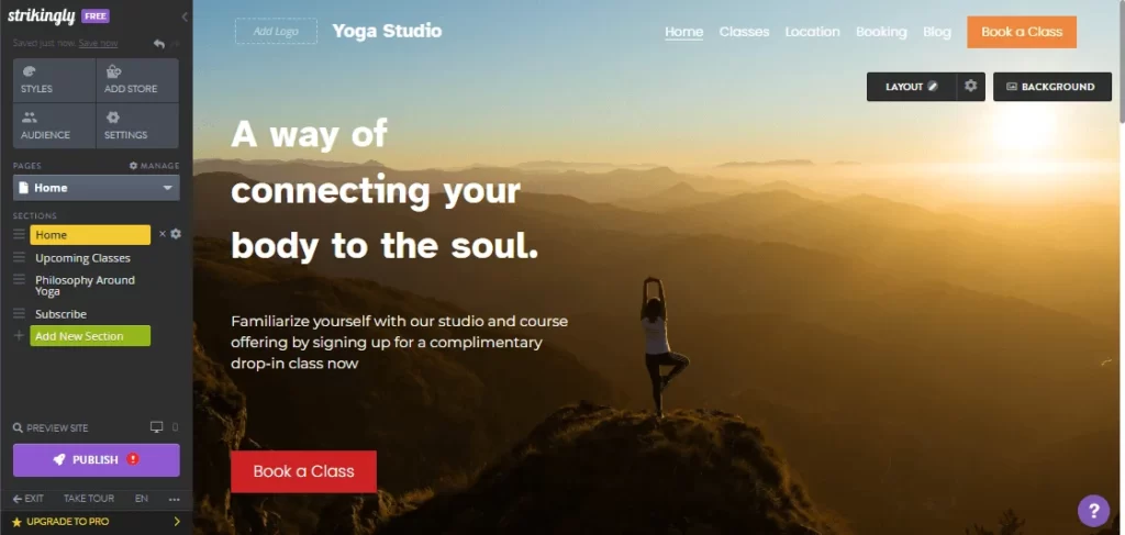 Strikingly website editor home