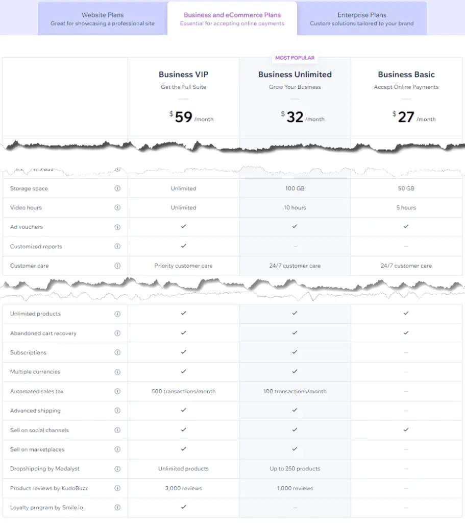 Wix business plan